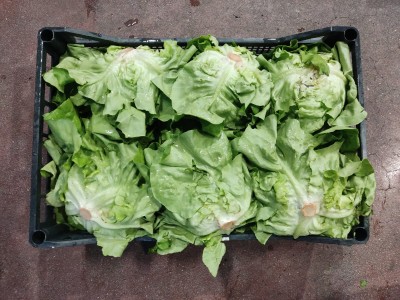 Foto Cappuccina Origine Italia Marchio Ambruosi 2