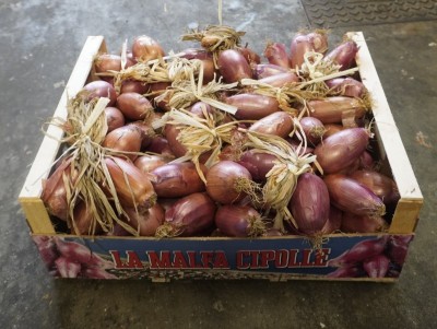 Foto Cipolle Rosse Varietà Tropea Lavorazione In Legno  Origine Italia Marchio Ortofrutticola La Malfa  1