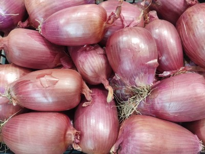 Foto Cipolle Tropea Lavorazione In Plastica Origine Italia Marchio La Malfa          2