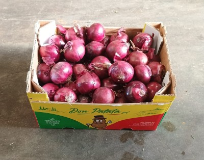 Foto Cipolle Rosse Origine Olanda Marchio Don Patata 1