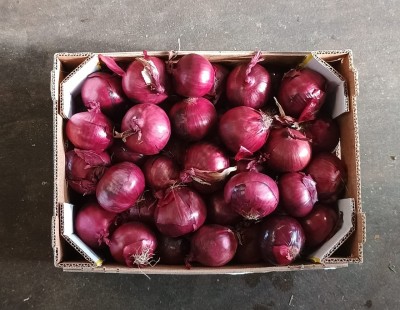 Foto Cipolle Rosse Origine Olanda Marchio Don Patata 3