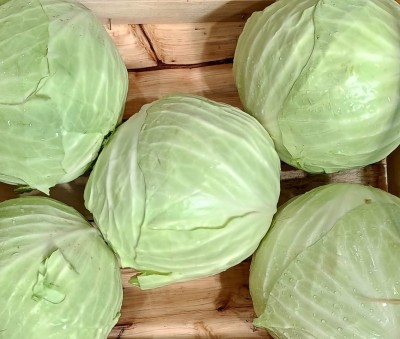 Foto Crauto Bianco Origine Italia Marchio Cutini 2