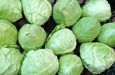 Foto Crauto Bianco Origine Italia Marchio Fresh 2