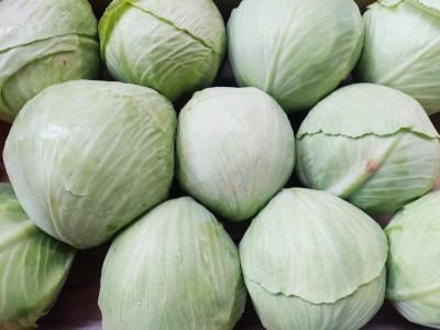 Foto Crauti Bianchi Origine Italia Marchio Capobianco      2