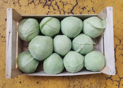 Foto Crauti Bianchi Origine Italia Marchio Capobianco      3