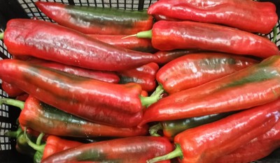 Foto Peperoni  Cornetti  Origine Italia Marchio Natur Trade  2
