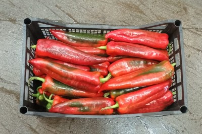 Foto Peperoni  Cornetti  Origine Italia Marchio Natur Trade  3