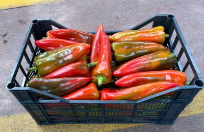 Foto Peperoni Cornetto  Rossi Origine Italia Marchio Vilardo 1