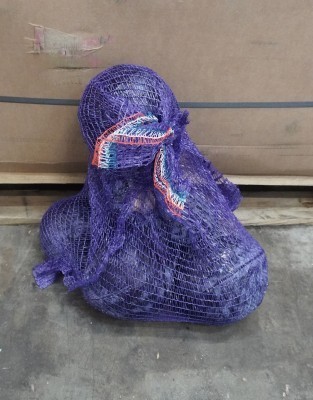 Foto Crauti Rossi A Sacco Da 10 Kg Origine Olanda Marchio Staay 1