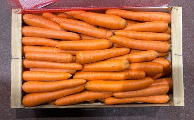 Foto Carote Origine Italia Marchio Mattiuzzo 3