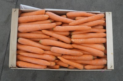 Foto Carote Origine Italia Marchio Simonfede 3