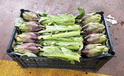 Foto Carciofi Violetti  Calibro 20 Origine Tunisia Marchio Ideal Agro  1