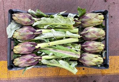 Foto Carciofi Violetti  Calibro 20 Origine Tunisia Marchio Ideal Agro  3