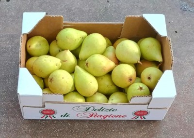 Foto Pere Cosce Confezione Da 2 Kg Origine Italia Marchio Delizie Di Stagione 1