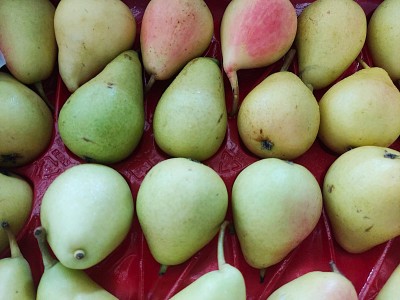 Foto Pere Coscia Calibro 48 Origine Cile Marchio Rucaray 2