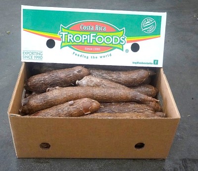 Foto Cassawa Origine Costarica Marchio TropiFoods 1