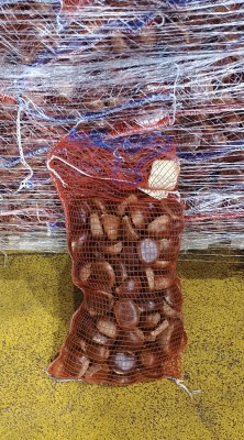 Foto Castane Varietà Marroni Sacco Da 3 Kg Origine Italia Marchio De Luca             1