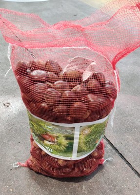 Foto Castagne Sacchetto da 5 Kg Origine Italia Marchio La Vallata 1