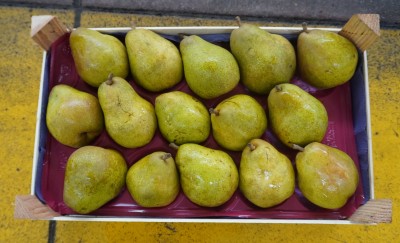 Foto Pere Decana Calibro 85/90 Origine Olanda Marchio Sattin 3