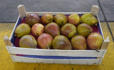 Foto Pera Decana Rossa Calibro 85/90 Origine Olanda Marchio Sattin 1