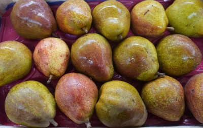 Foto Pera Decana Rossa Calibro 85/90 Origine Olanda Marchio Sattin 2