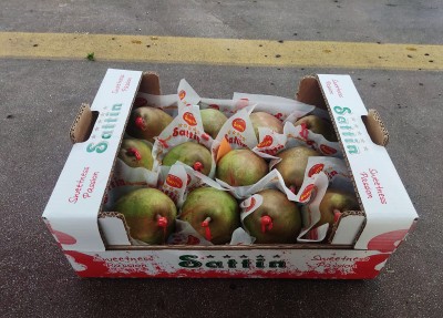 Foto Pere Decana Calibro 12 Origine Olanda Marchio Sattin 1