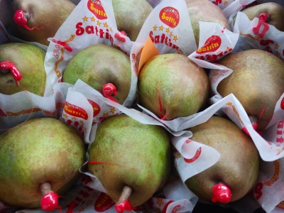 Foto Pere Decana Calibro 12 Origine Olanda Marchio Sattin 2