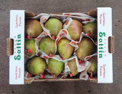 Foto Pere Decana Calibro 12 Origine Olanda Marchio Sattin 3