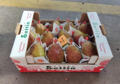 Foto Pera Decana  Rossa Calibro 12 Origine Olanda Marchio Sattin 1