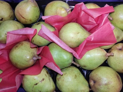 Foto Pere  Decana Calibro 80+ Origine Belgio Marchio Sattin           2