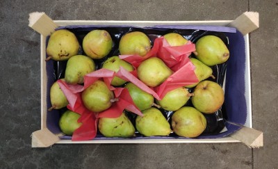 Foto Pere  Decana Calibro 80+ Origine Belgio Marchio Sattin           3