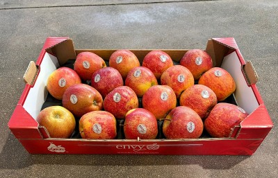 Foto Mele Envy Calibro 80/85 Origine Italia Marchio Envy      1