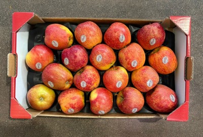 Foto Mele Envy Calibro 80/85 Origine Italia Marchio Envy      3