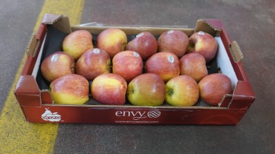 Foto Mele Varietà Envy Calibro 85/90 Origine Italia Marchio Envy            1