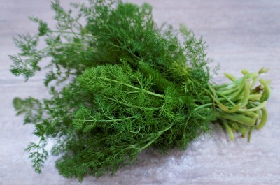 Foto Finocchiella a Mazzi Origine Italia Marchio Agriroma  1