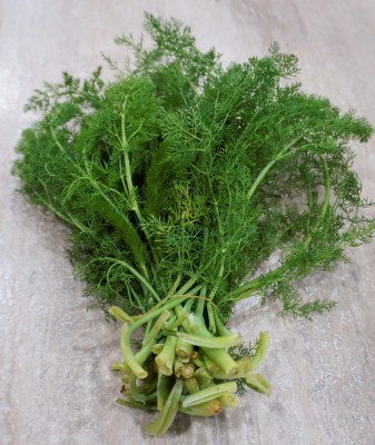 Foto Finocchiella a Mazzi Origine Italia Marchio Agriroma  2