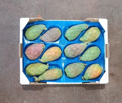 Foto Fichi D'india Calibro 12 Origine Italia Marchio Gaf  3