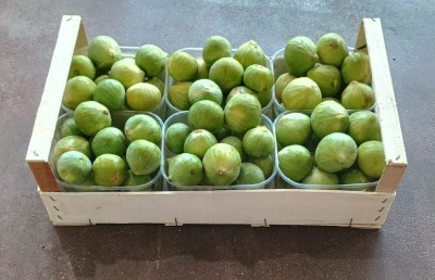 Foto Fichi Bianchi Origine Italia Marchio Fichi Di Puglia  1
