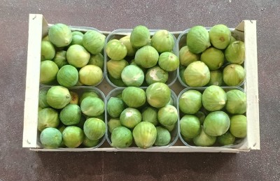 Foto Fichi Bianchi Origine Italia Marchio Fichi Di Puglia  3