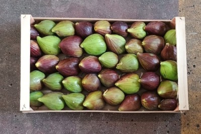 Foto Fichi Neri Origine Italia Marchio Fichi Di Puglia  3