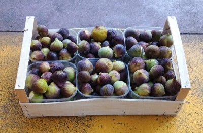 Foto Fichi Neri Origine Italia Marchio Fichi Di Puglia  1