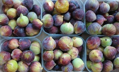 Foto Fichi Neri Origine Italia Marchio Fichi Di Puglia  2