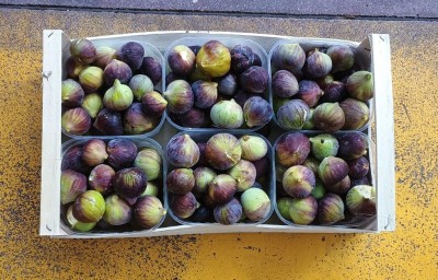 Foto Fichi Neri Origine Italia Marchio Fichi Di Puglia  3