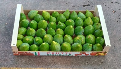 Foto Fichi Bianchi Origine Italia Marchio S.g Ortofrutta            1
