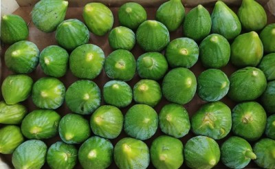 Foto Fichi Bianchi Origine Italia Marchio S.g Ortofrutta            2