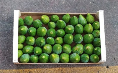 Foto Fichi Bianchi Origine Italia Marchio S.g Ortofrutta            3