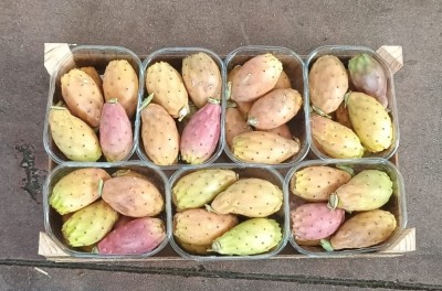 Foto Fichi D'India Varietà Primo Fiore Lavorazione In Cestini Origine Italia Marchio La Siciliana 3