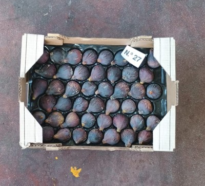 Foto Fichi Varietà Collo Di Dama Calibro 45 Origine Spagna Marchio Lica  3