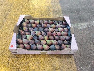 Foto Fichi Neri Calibro 63  Origine Spagna Marchio Airun   1