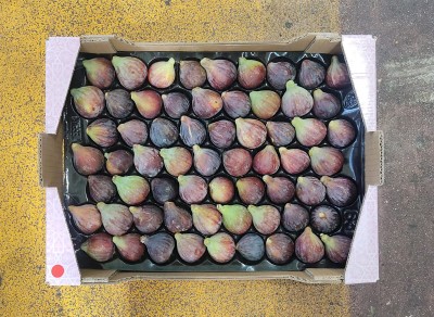 Foto Fichi Neri Calibro 63  Origine Spagna Marchio Airun   3